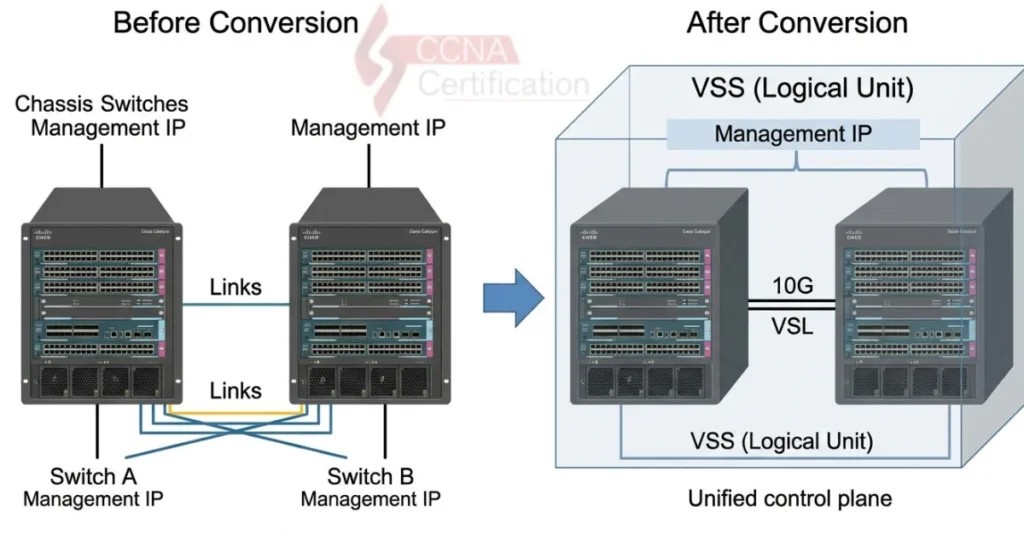 Virtual Switching System